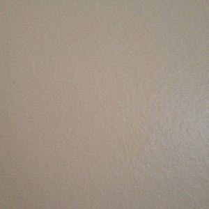 Meet your Posher, Bob